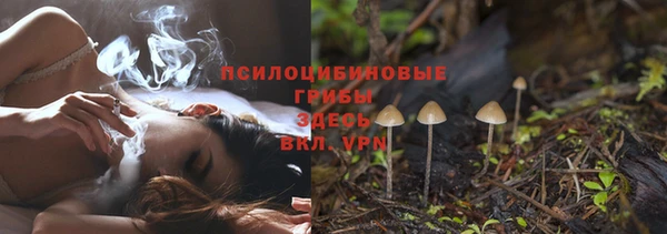МДПВ Ладушкин