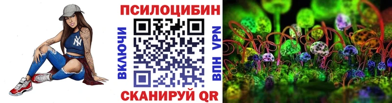 Галлюциногенные грибы Psilocybine cubensis Кореновск