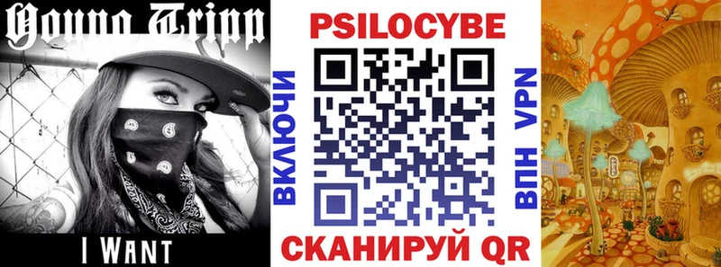 Псилоцибиновые грибы Psilocybine cubensis  Купить  Кореновск 